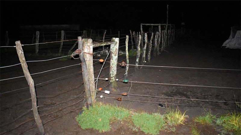 Entre Ríos: un hombre murió electrocutado cuando le daba de comer a sus animales | Información General