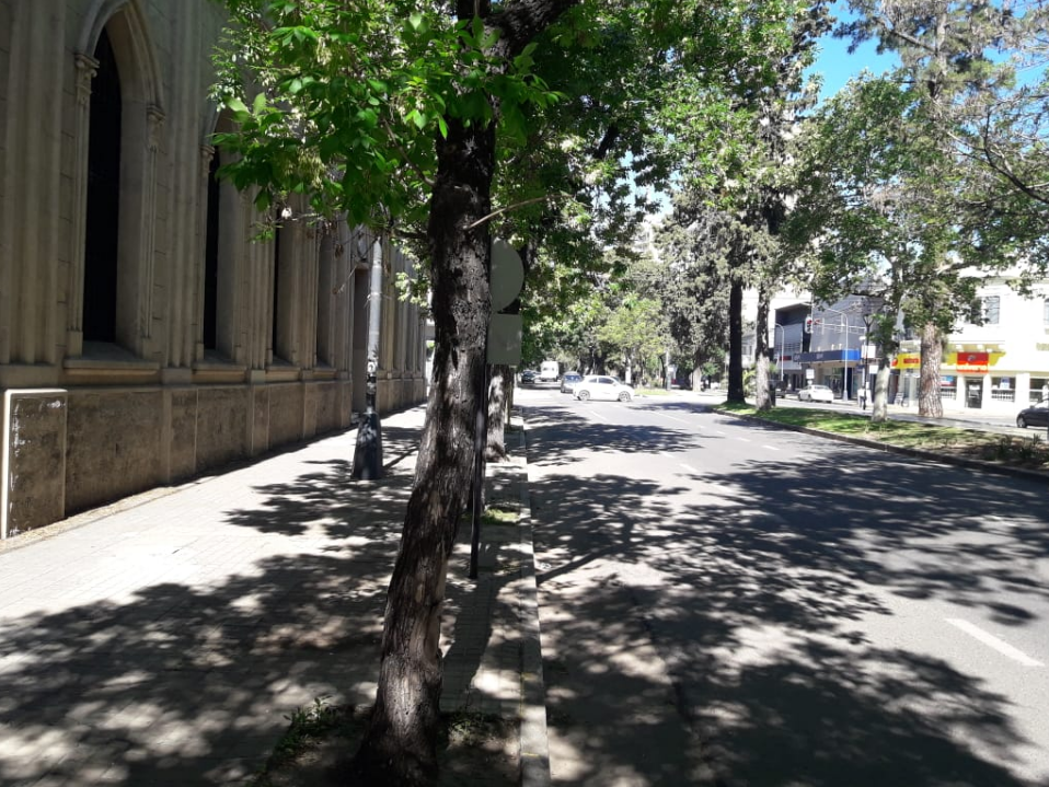 Otra jornada primaveral y soleada en la ciudad y la región | Información General