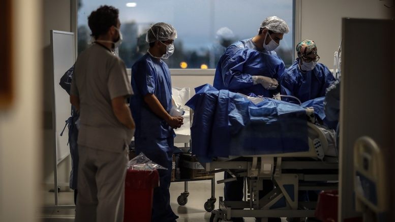 Seleccionan 17 proyectos de investigación sobre el impacto del coronavirus en la sociedad argentina | Nacionales