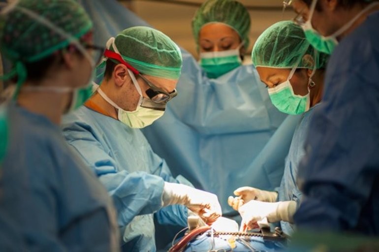 Se realizaron 530 trasplantes en lo que va de la pandemia | Noticias