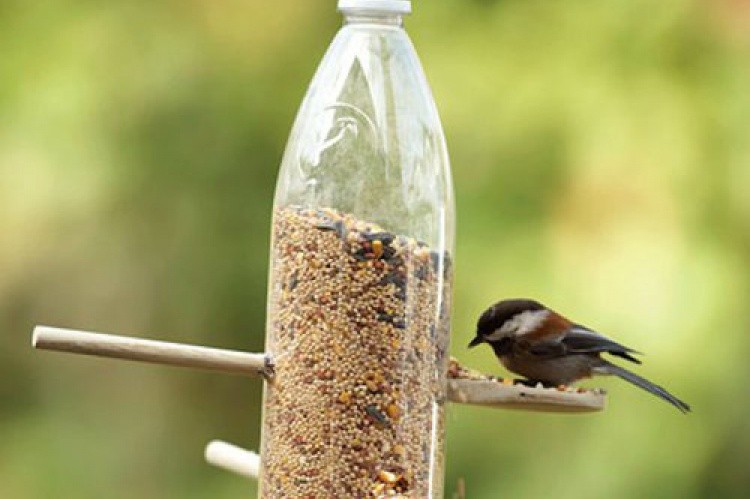 Crean un comedero para pájaros que da comida solo a cambio de chapas de botellas | Redes