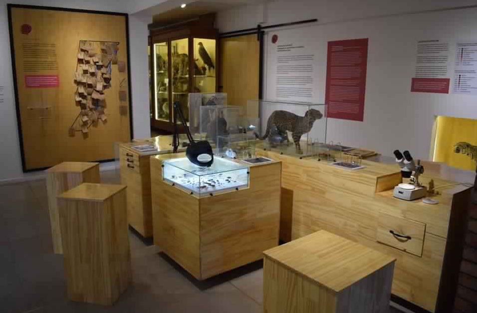 El museo de Ciencias Naturales de Santa Fe lanza su primer libro digital gratuito | Espectaculos