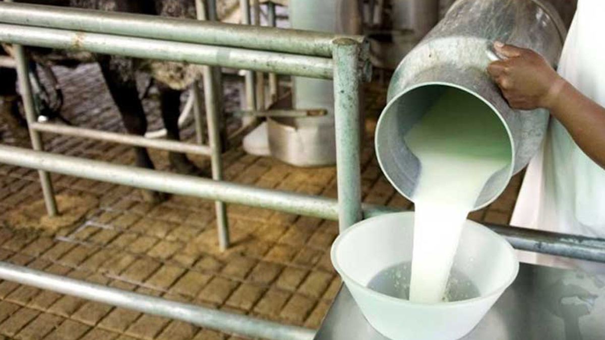 Condenan a una pareja por esclavizar a un joven en un tambo durante 4 años: detalles escalofriantes | Judiciales