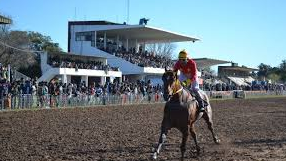 Habilitan la actividad hípica en la provincia de Santa Fe | Noticias