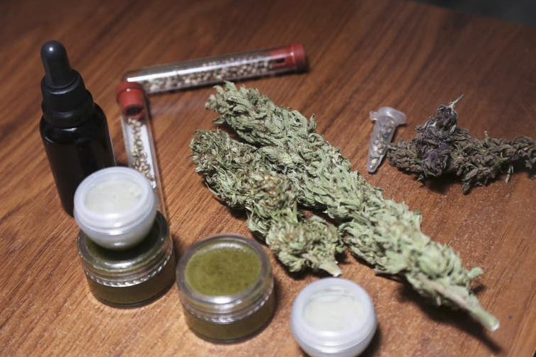 Se reglamentó el uso de cannabis medicinal en el país | Noticias