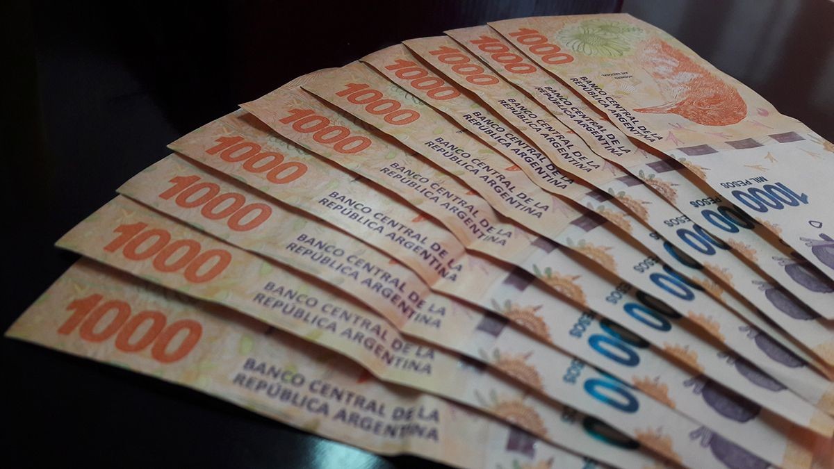 Potenciar Joven: quiénes cobrarán el subsidio de $ 8.500 durante un año | Nacionales