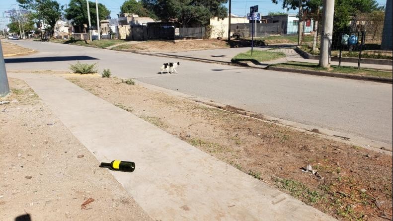 Asesinaron a golpes a un joven en una fiesta clandestina | Información General