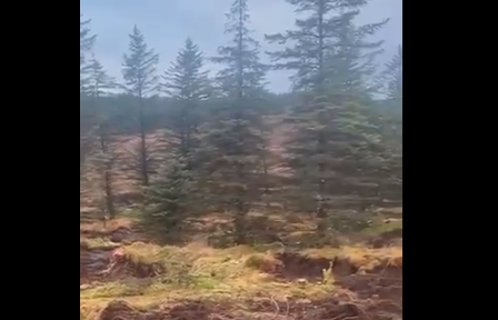 Video aterrador: el misterioso paisaje movedizo de Irlanda | Redes