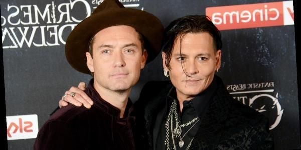 Jude Law se manifestó a favor de dejar fuera de "Animales fantásticos" a Johnny Depp | Espectaculos