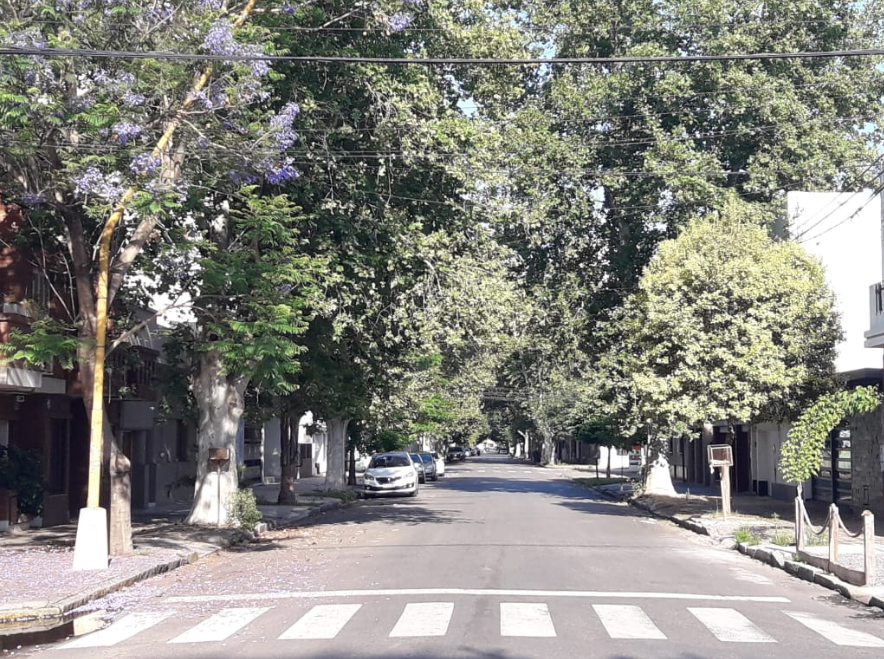 Miércoles soleado y con ascenso de temperatura en la ciudad | Información General