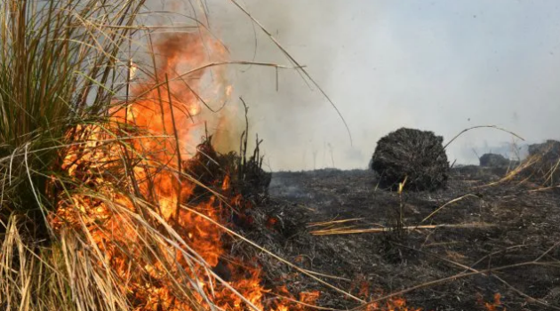Diputados aprobó el proyecto que prohíbe por 60 años la venta de terrenos incendiados | Legislativas