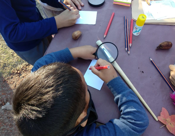 La Municipalidad comienza a pagar los subsidios a jardines de infantes | Noticias