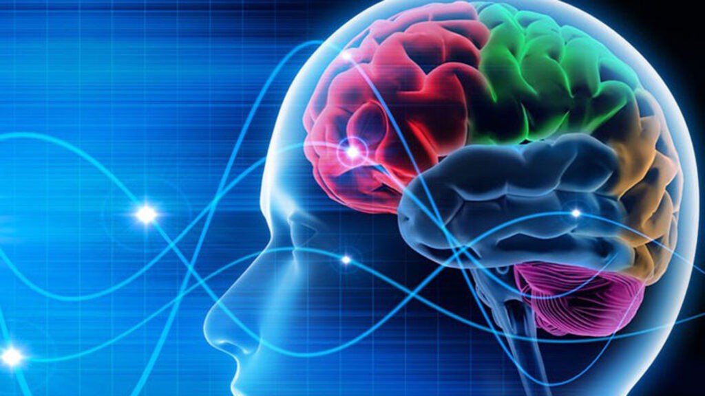 Proyecto argentino de medicamento para enfermedades neurodegenerativas ganó certamen internacional | Nacionales