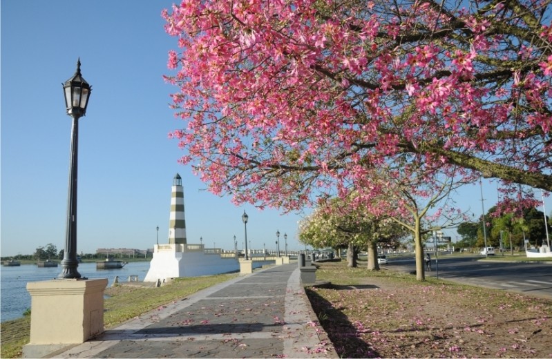 Domingo soleado en la ciudad | Información General