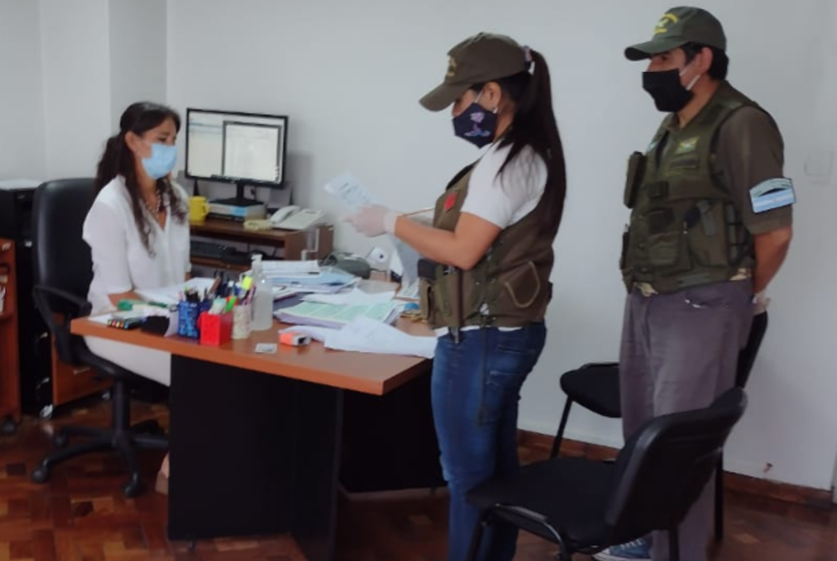 Allanan ocho centros médicos salteños por presunto fraude en el servicio de transfusión de plasma | Judiciales