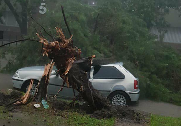 El temporal de lluvia y viento causó desastres en Reconquista | Noticias