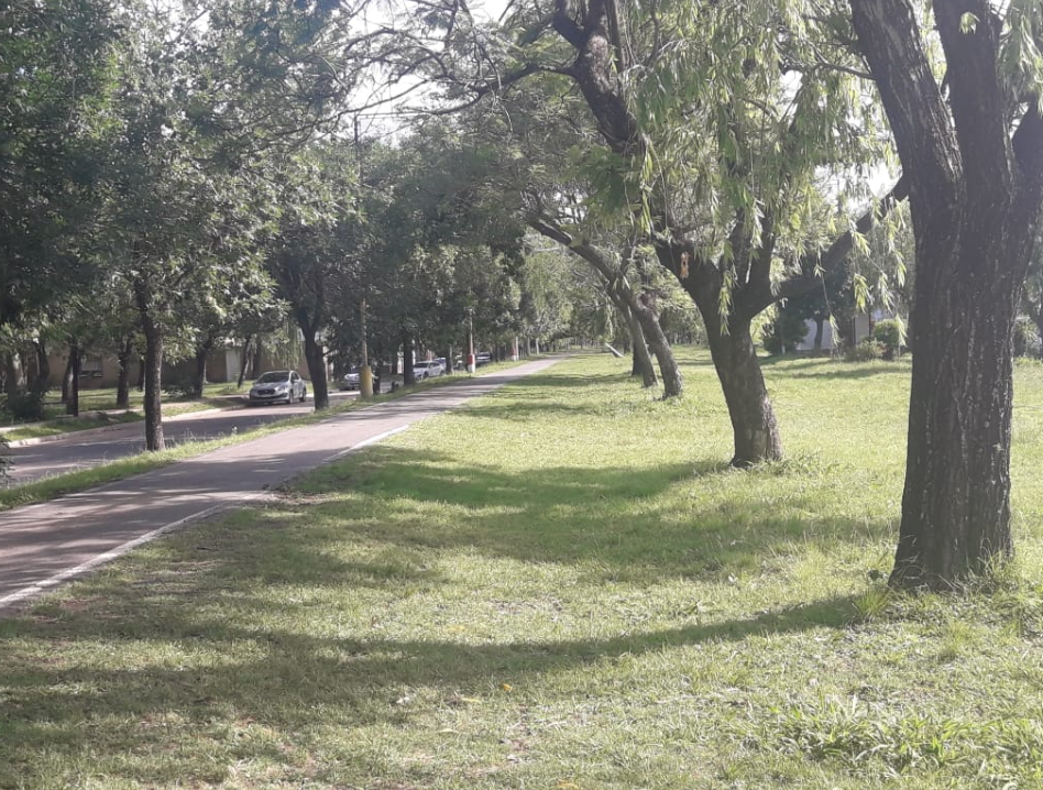 Miércoles caluroso, con cielo algo nublado y alguna inestabilidad en la ciudad | Información General
