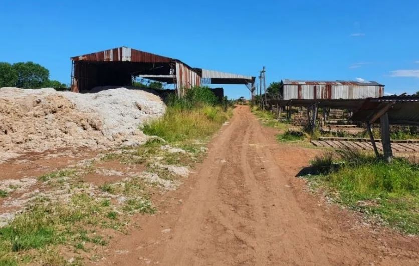 Mató a su compañero de trabajo y lo enterró en un horno de ladrillos | Nacionales