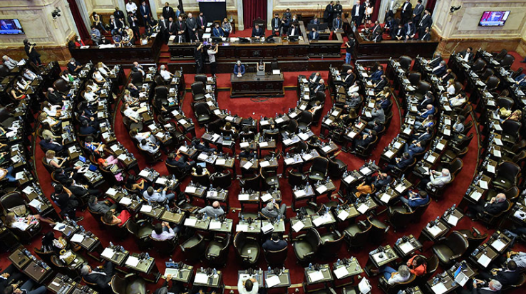 Ingresó en Diputados un proyecto que plantea suspender las PASO | Legislativas