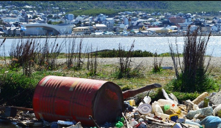 Ushuaia: primera ciudad argentina que prohíbe la venta de hisopos plásticos descartables | Nacionales