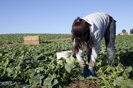Las mujeres ganan en promedio por hora 14% menos que los hombres | Nacionales