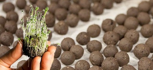 Jujuy: Invitan a estallar bombas de semillas durante las Fiestas | Nacionales