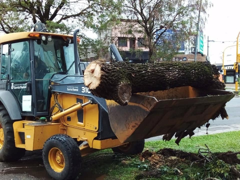 Santo Tomé: la tormeta derribó una decena de árboles | Noticias