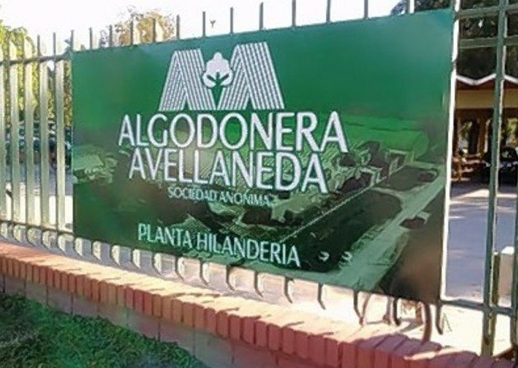 Vicentín: El juez Ercolini embargó bienes de Algodonera Avellaneda | Judiciales