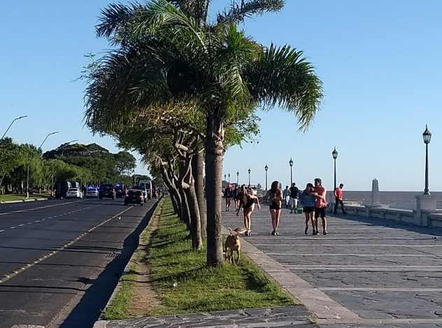 Pronóstico ideal para recibir el Año Nuevo | Información General