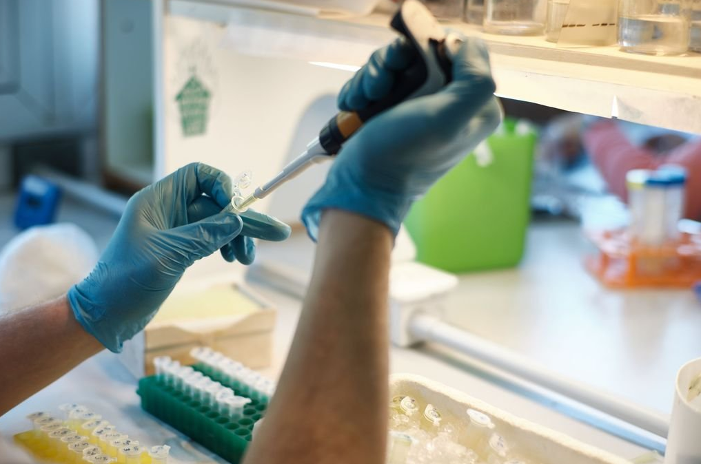 El Ministerio de Salud de la Nación retomará el sábado la difusión del reporte vespertino | Nacionales