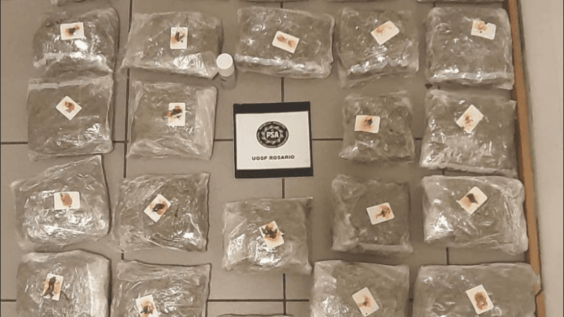 Rosario: incautaron más de 14 kilos de drogas que intentaban movilizar por encomiendas | Noticias
