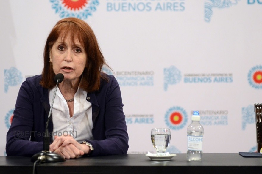 "La situación amerita un toque de queda sanitario", dijo jefa de Terapia del Hospital San Martín | Información General