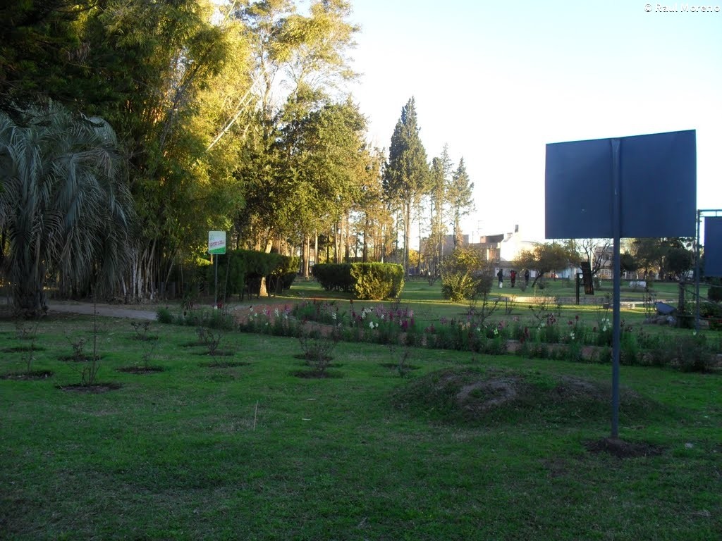 Verano en Santa Fe: el Jardín Botánico está abierto para descubrir su flora y las aves que lo habitan | Noticias