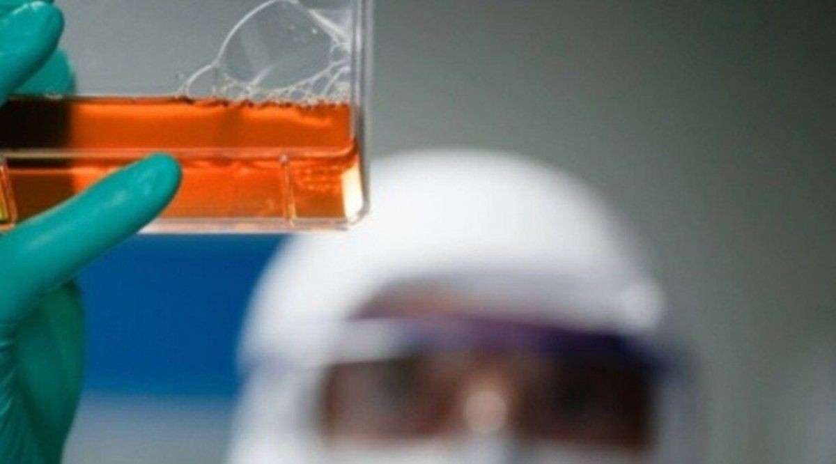 El suero equino, inmune contra el coronavirus, llega este lunes a los hospitales | Información General