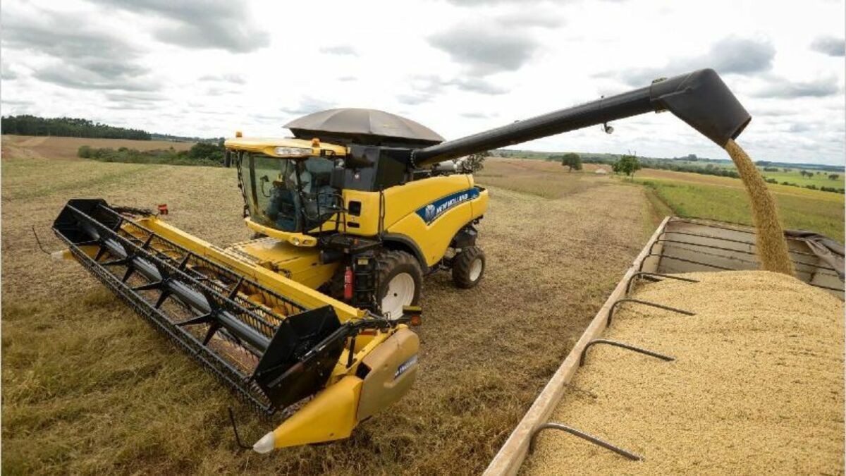 Arrancó el paro del campo por 72 horas | Nacionales