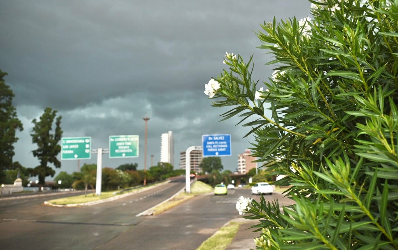 Hubo 24 reclamos por inconvenientes registrados por la lluvia antes del mediodía | Noticias