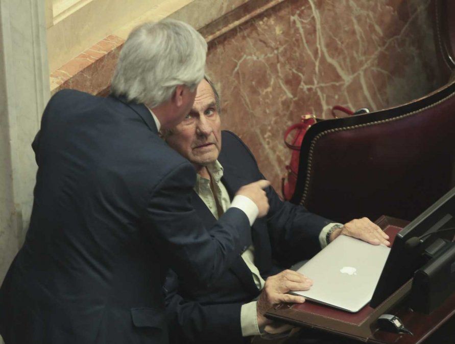 El Senado este año renueva 24 bancas: ¿quién se queda y quién se va? | Legislativas