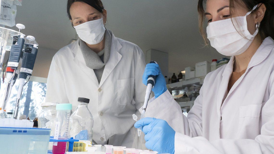 Coronavirus: la Sociedad Argentina de Terapia Intensiva recomendó no usar el suero equino hiperinmune | Información General