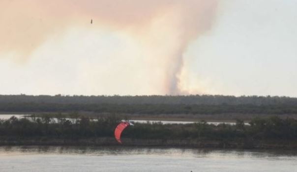 Volvieron las quemas en el Delta del Paraná: no descartan "intencionalidad política" | Noticias