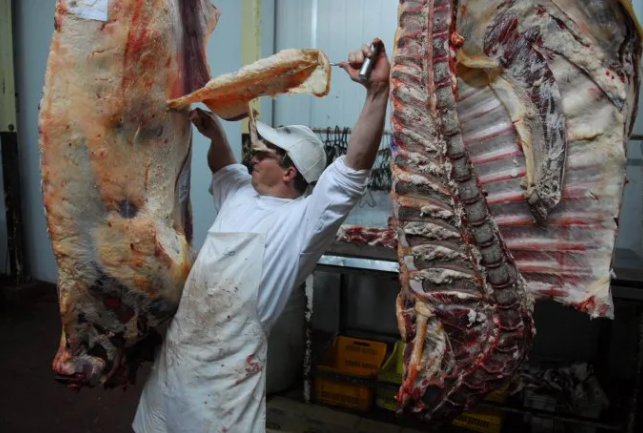 La Aduana estableció valores de referencia para la exportación de carne vacuna | Nacionales