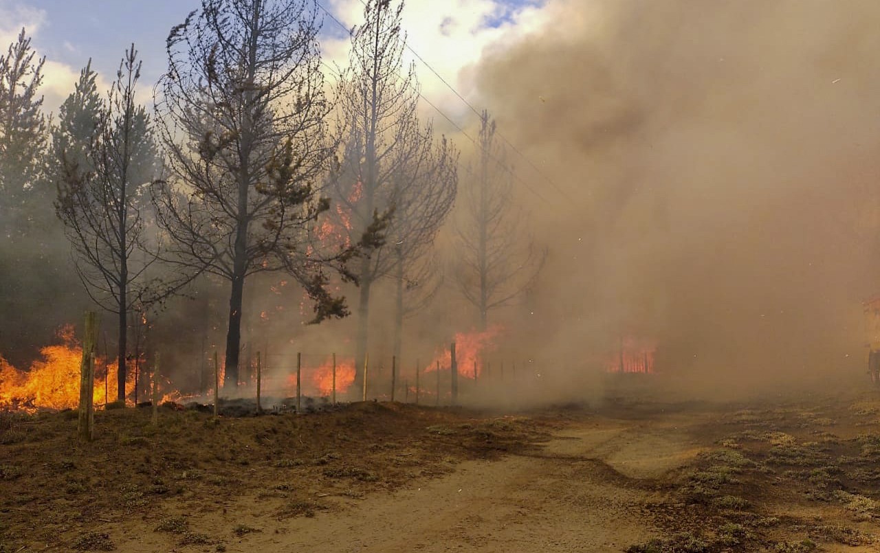 Incendio en El Bolsón: allanan la vivienda de sospechoso de iniciar el fuego | Información General