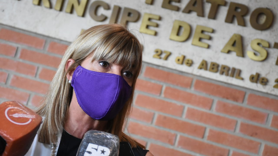 Rodenas pidió a Diputados "que se brinde el debate sobre el plan de conectividad" | Legislativas