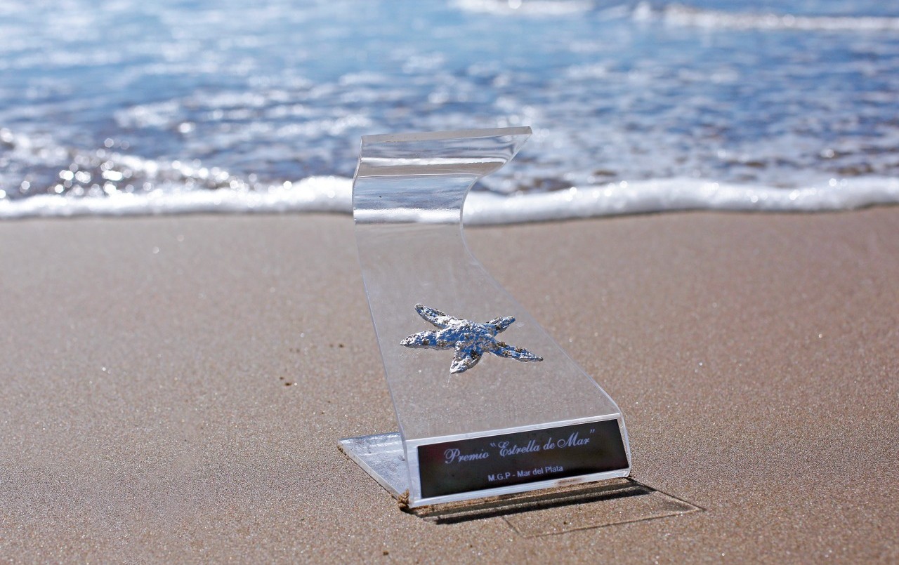 Estos son los nominados a los premios Estrella de Mar | Espectaculos