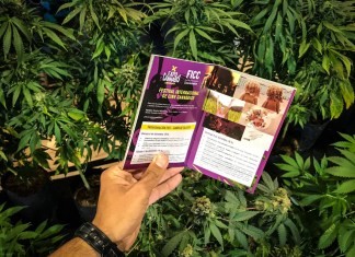 Llega por primera vez a Buenos Aires el Festival Internacional CineCannábico | Espectaculos