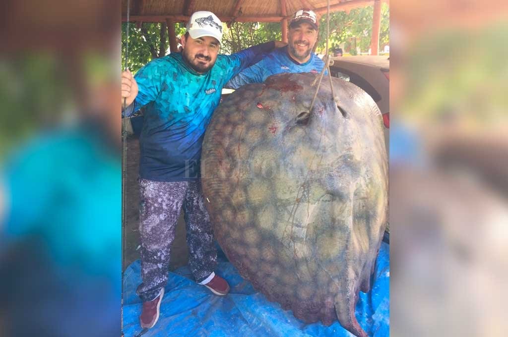 Pescaron una raya de 190 kilos en el interior de la provincia | Información General