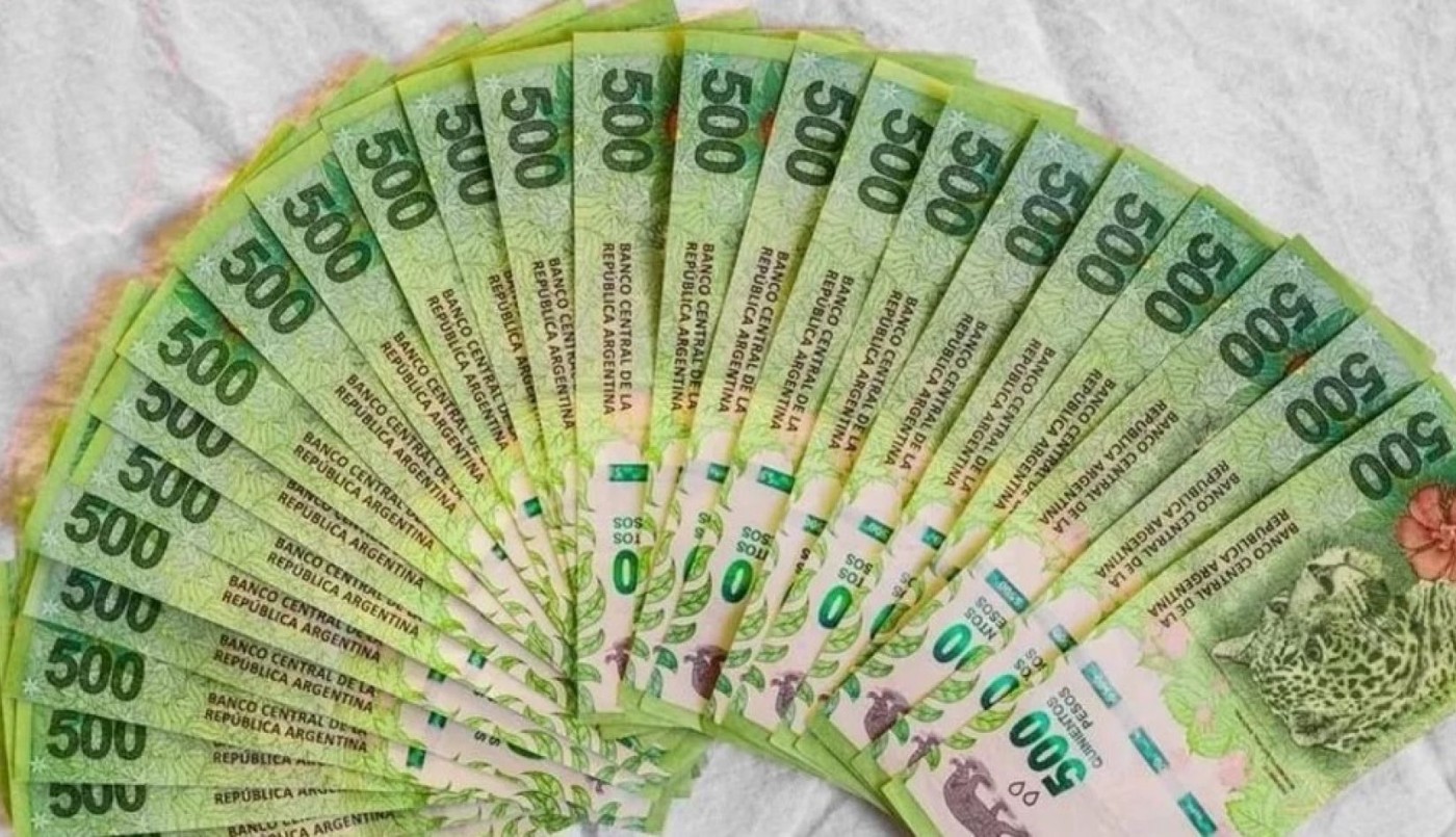 El Gobierno Nacional oficializó dos programas que reemplazarán el IFE | Nacionales