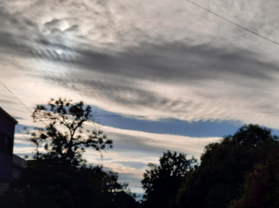 Feriado con alguna nubosidad y pocas probabilidades de lluvias | Información General