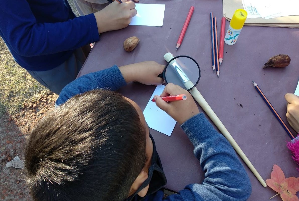 Reabren los jardines municipales: ¿Cómo serán los protocolos? | Noticias