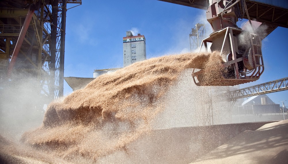 El ministerio de Agricultura realizará el seguimiento de la comercialización de granos | Nacionales