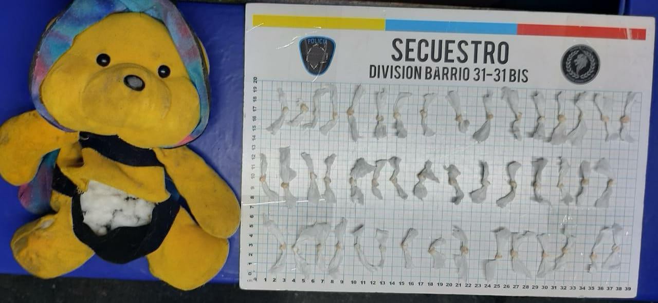 Una mujer intentó trasladar varias dosis de paco dentro de un oso de peluche | Información General